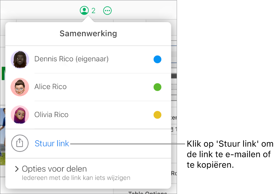 Het geopende samenwerkingsmenu met de optie 'Stuur link' onder de lijst met deelnemers.