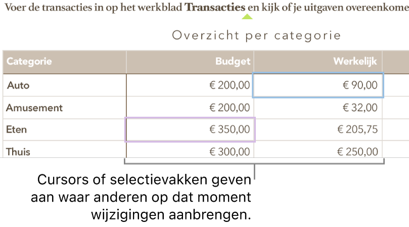 Aanwijzers en tabelcelselecties geven in verschillende kleuren aan waar anderen wijzigingen aanbrengen in een gedeelde spreadsheet.