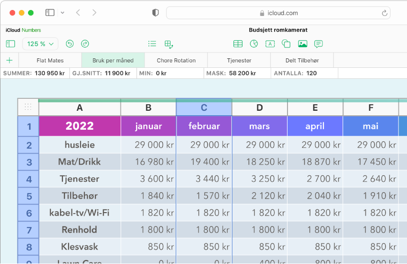 En tabell med overskrifter og data.