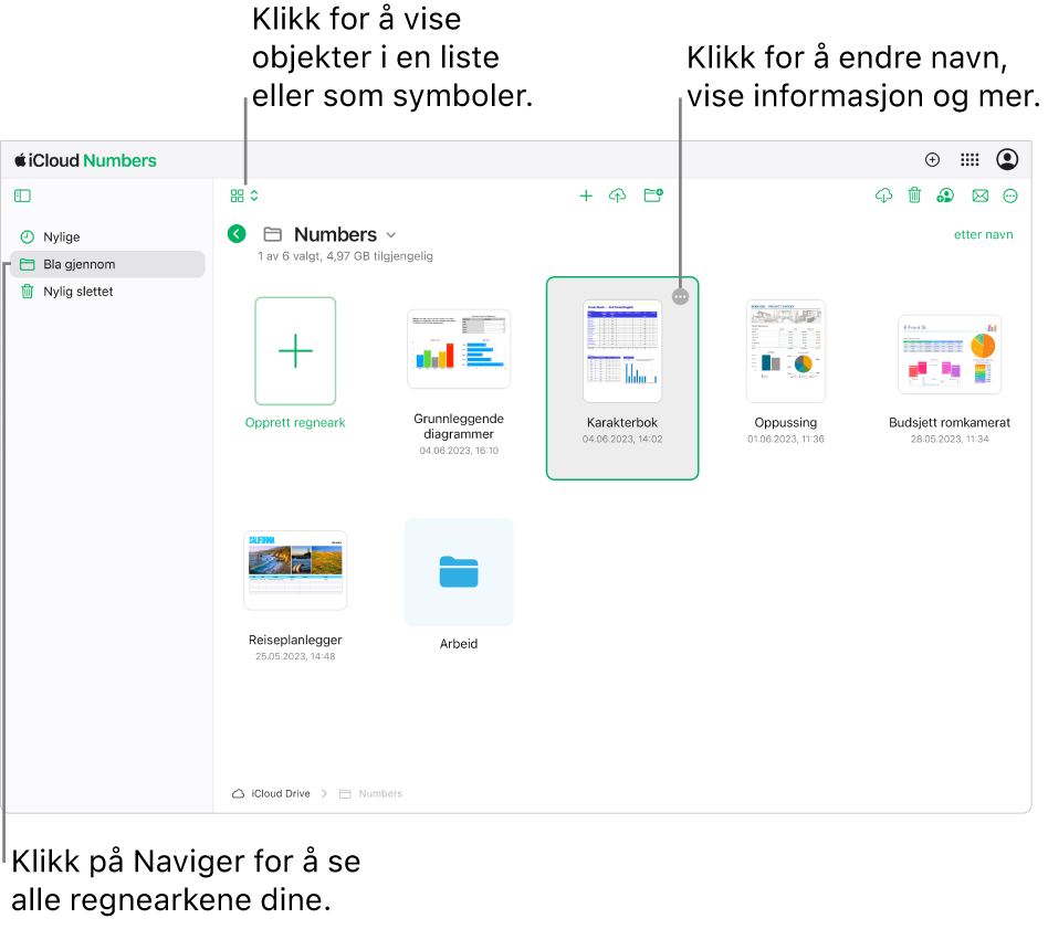 Dokumentorganisereren i navigeringsvisningen. Mer-knappen (tre prikker) vises i øvre høyre hjørne av det valgte regnearket. Over regnearkene er det en lokalmeny på venstre side i verktøylinjen der du kan velge om du vil vise objekter som symboler eller i en liste, og i midten av verktøylinjen er det knapper for oppretting av nytt regneark, opplasting av regneark og oppretting av ny mappe. Til høyre i verktøylinjen er det knapper for å laste ned, samarbeide, sende e-post og slette.