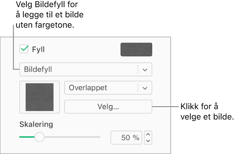 Det er krysset av i Fyll-ruten i sidepanelet, og Bildefyll er valgt på lokalmenyen under avkrysningsruten. Kontroller for valg av bilde, hvordan det fyller objektet, og bildeskaleringen vises under lokalmenyen. En forhåndsvisning av fargefyllet vises i firkanten (etter et bilde er valgt).