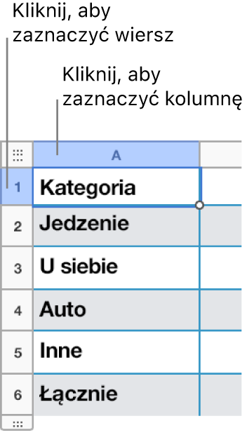 Zaznaczony wiersz tabeli z opisami sposobu zaznaczania wierszy i kolumn.