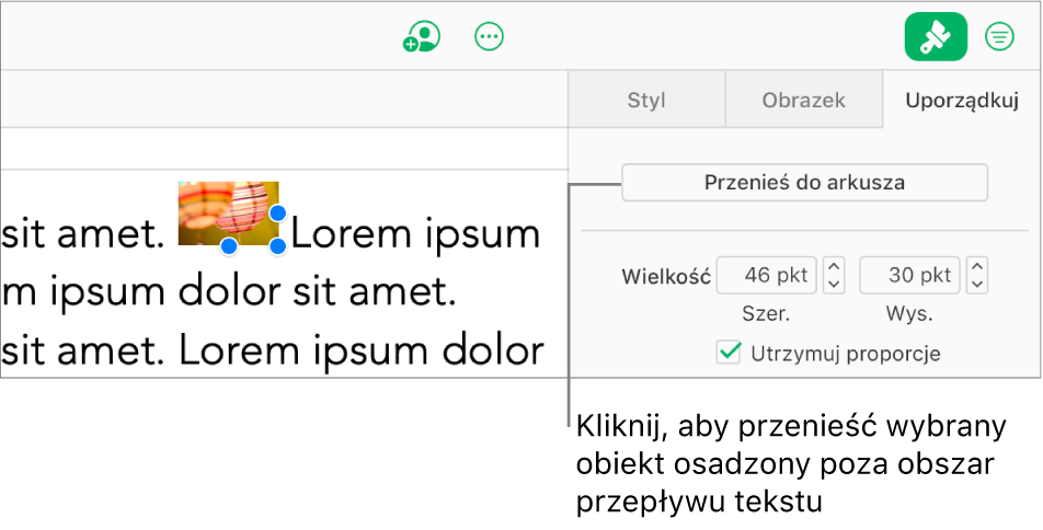 Zaznaczony jest obraz osadzony w polu tekstowym, a przycisk Przenieś na arkusz jest widoczny na karcie Uporządkuj na pasku bocznym.