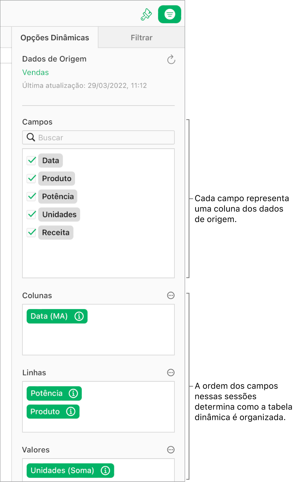 A aba Opções Dinâmicas na barra lateral Organizar, mostrando campos das seções Colunas, Linhas e Valores, bem como os botões Mais e Informações para editar os campos e atualizar a tabela dinâmica.