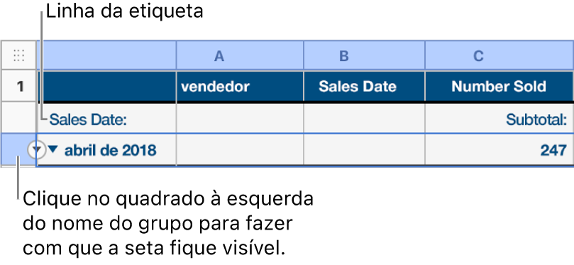 A linha de resumo está selecionada numa tabela categorizada e aparece uma seta para baixo na sua borda; a linha de etiqueta por cima da linha de resumo mostra o nome da categoria sobre o nome do grupo e o nome de uma função, Subtotal, na terceira coluna.
