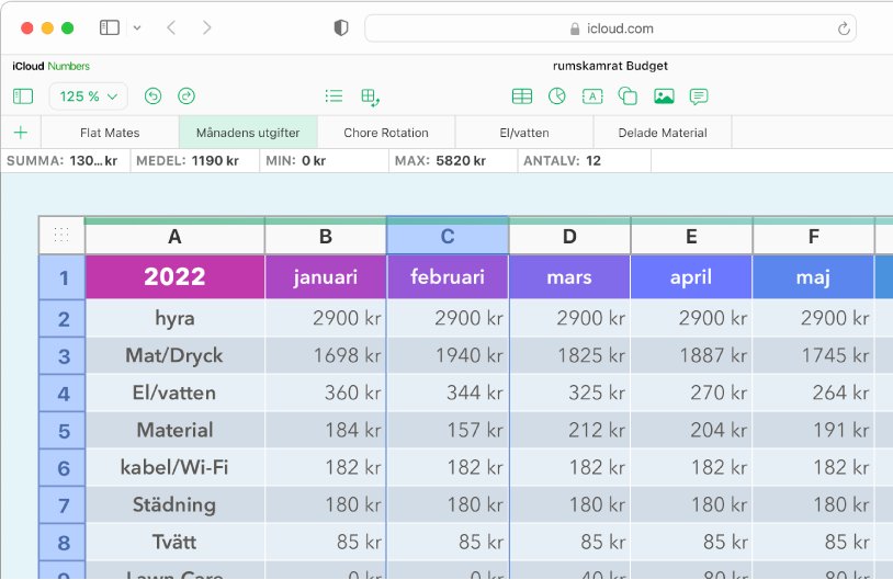 En tabell med rubriker och data.