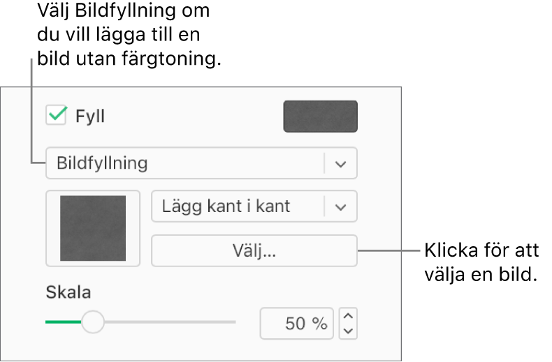 Kryssrutan Fyllning är markerad i sidofältet och Bildfyllning väljs i popupmenyn under kryssrutan. Reglage för att välja bilden, hur den fyller objektet och bildens skala visas under popupmenyn. En förhandsvisning av bildfyllningen visas i rutan (när en bild har valts).