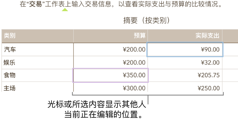 光标及选中的表格单元格显示其他人在共享电子表格中编辑的位置。