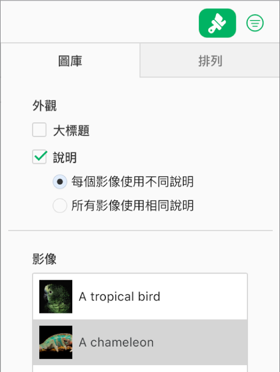 「格式」側邊欄中的「圖庫」標籤頁。「說明」註記框已選取，可選擇為每個影像提供個別說明，或讓所有影像使用相同說明。控制項目下方有各影像的縮覽圖，右側有文字說明。