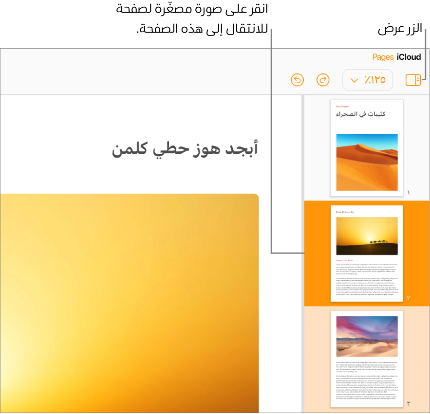 طريقة عرض الصور المصغرة للصفحات على الجانب الأيمن من الشاشة مع تحديد الصفحة. زر العرض موجود في شريط الأدوات أعلى الصور المصغرة.
