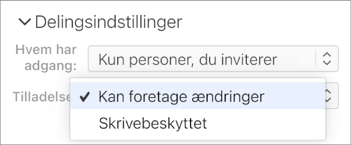 Lokalmenuen Tilladelse under Delingsindstillinger er åben og viser muligheder, der giver andre lov til at foretage ændringer i et dokument eller kun at se det.