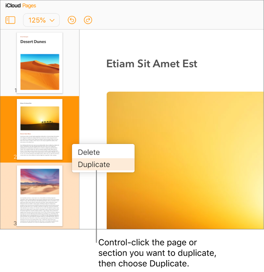 Page Thumbnails for a multi-page word-processing document in the left sidebar, with the selected page highlighted in dark orange and one other page in the same section highlighted in light orange. A pop-up menu has options to Delete or Duplicate the selected section.