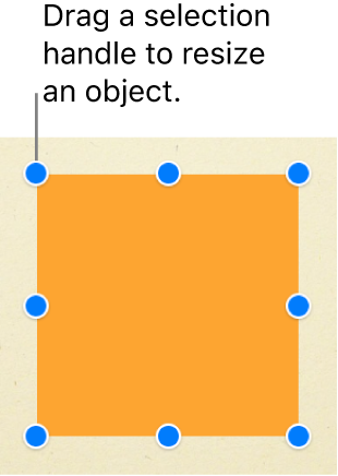 A square object with selection handles visible at each corner and at the center of each side.