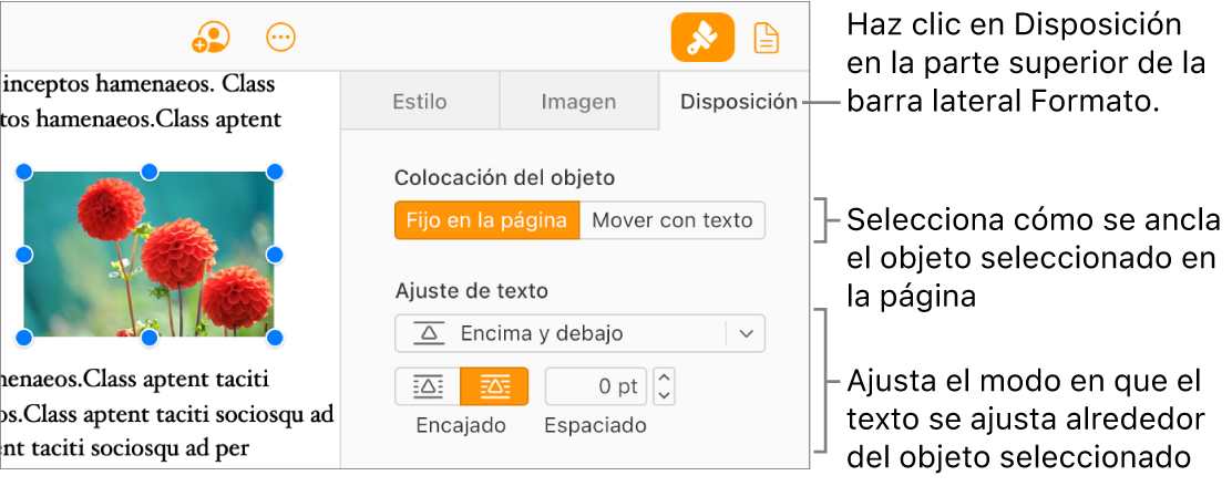 Una imagen seleccionada en el cuerpo del documento; la pestaña Disposición de la barra lateral Formato muestra que el objeto está establecido en “Fijo en la pág.”, con el texto ajustándose al objeto por encima y por debajo.