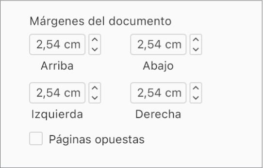 La sección “Márgenes del documento” de la barra lateral Documento, con controles para establecer el margen superior, inferior, derecho e izquierdo.