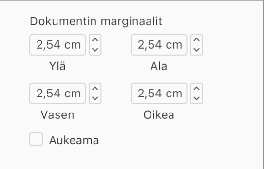 Dokumentti-sivupalkin Dokumentin marginaalit -osio, jossa näkyvät asetukset ylä- ja alamarginaalille sekä vasemmalle ja oikealle marginaalille.