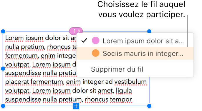 La première zone de texte d’un fil est sélectionnée et un menu local à côté du cercle en haut de la zone de texte s’ouvre. Dans le menu local, une case à cocher s’affiche à côté du fil auquel cette zone de texte appartient.