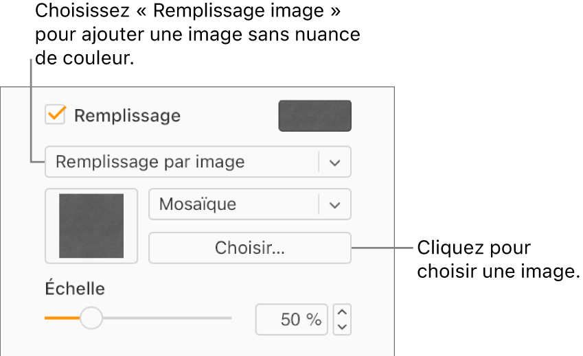 La case Remplissage est cochée dans la barre latérale et l’option Remplissage image est sélectionnée dans le menu local situé sous la case à cocher. Les commandes permettant de choisir l’image, la façon dont elle remplit l’objet et son échelle s’affichent sous le menu local. Un aperçu du remplissage de l’image apparaît dans un carré une fois qu’une image est choisie.