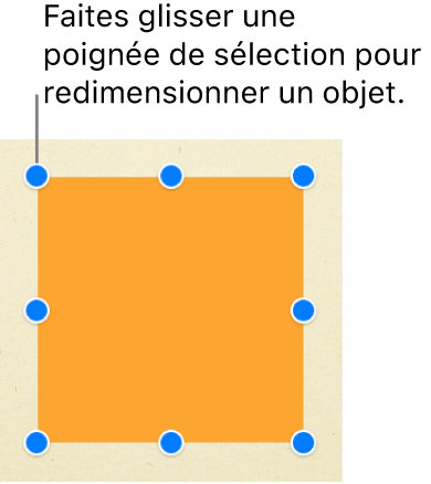 Un objet carré avec des poignées de sélection visibles à chaque coin et au milieu de chaque côté.