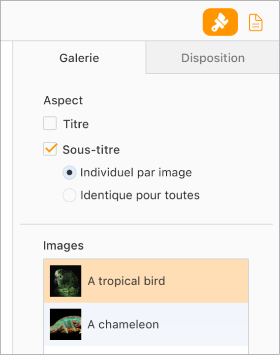 L’onglet Galerie dans la barre latérale Format. La case Sous-titre est sélectionnée et il existe des options pour activer un sous-titre individuel pour chaque image ou le même sous-titre pour l’ensemble des images. Sous les commandes se trouve la vignette de chaque image avec son sous-titre à droite.