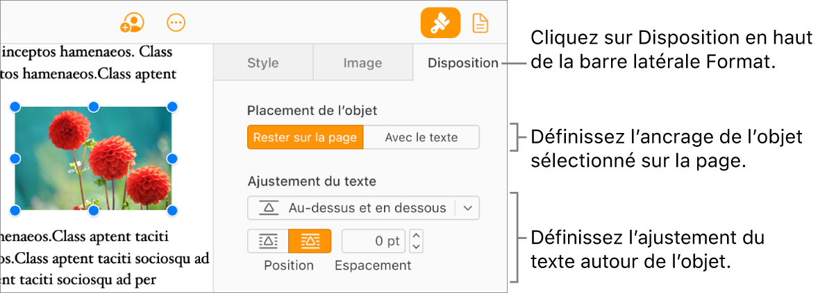 Une image est sélectionnée dans le corps du document. L’onglet Disposition de la barre latérale Format indique que l’objet est configuré pour Rester sur la page avec un ajustement du texte au-dessus et au-dessous de l’objet.