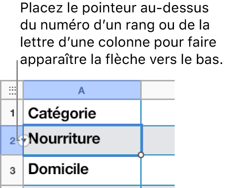 Un numéro de rangs est sélectionné dans un tableau, et une flèche vers le bas est visible à sa droite.