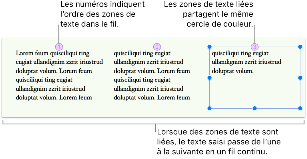 Trois zones de texte liées remplies de texte et présentées côte à côte sur une page. Chaque zone de texte est surmontée d’un cercle violet contenant un numéro pour indiquer son ordre dans le fil.