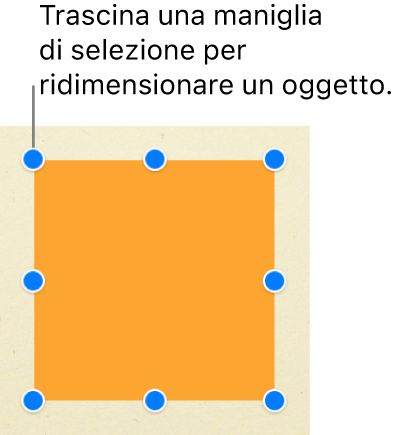 Un quadrato con le maniglie di selezione visibili su ogni angolo e nel punto centrale di ogni lato.