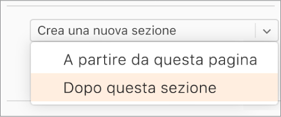 Il menu a comparsa “Crea una nuova sezione” è aperto e “Dopo questa sezione” è selezionato.