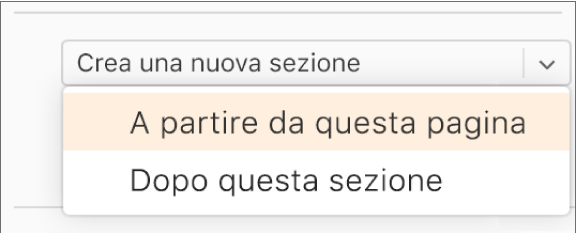 Il menu a comparsa “Crea una nuova sezione” è aperto e “A partire da questa pagina” è selezionato.