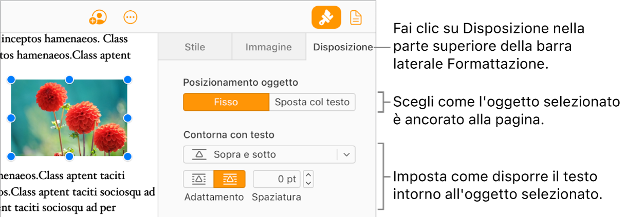 Viene selezionata un’immagine nel corpo del documento; il pannello Disposizione della barra laterale Formato mostra che l’oggetto è impostato in modo da essere fisso, con il testo che lo circonda sopra e sotto.