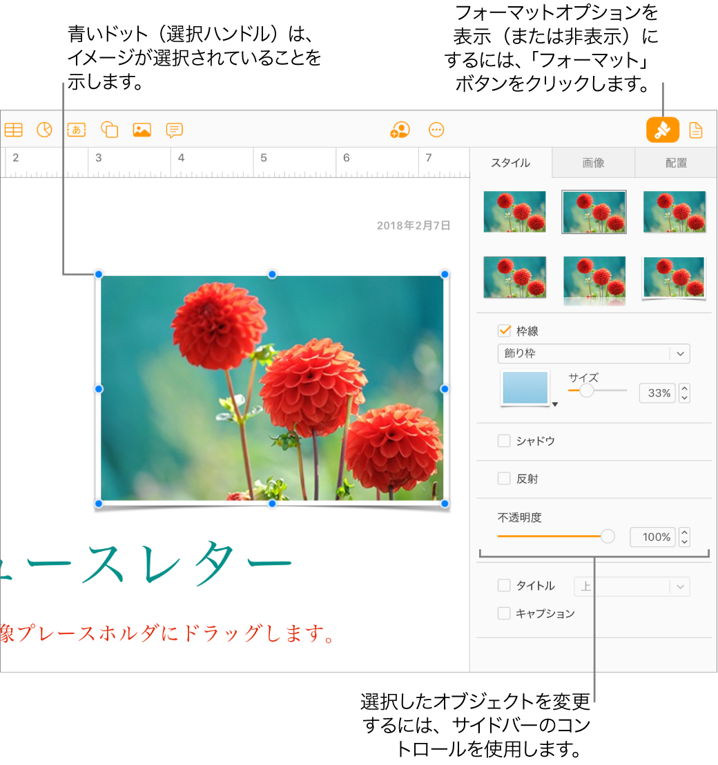 書類内の画像が選択され、その外観を変更するためのコントロール(枠線やシャドウのチェックボックスなど)が右側のサイドバーに表示されています。