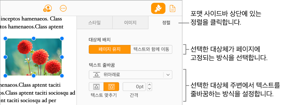 문서 본문에서 이미지가 선택되어 있으며, 포맷 사이드바의 정렬 탭은 대상체가 대상체 위 및 아래의 텍스트 둘러싸기와 함께 페이지 유지로 설정되어 있음을 보여 줍니다.