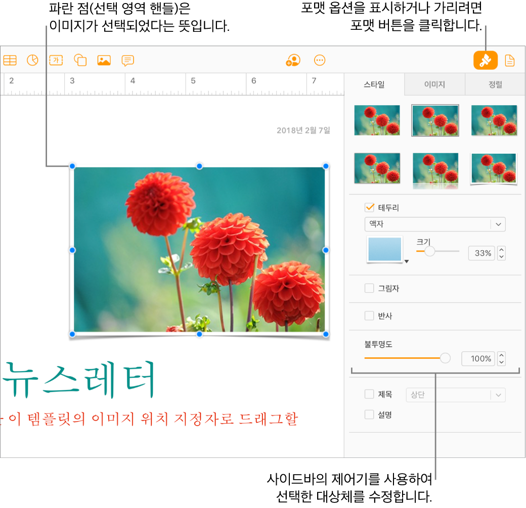 문서의 이미지가 선택되어 있으며, 모양(예: 테두리 및 그림자 체크상자)을 변경할 수 있는 제어기가 오른쪽의 사이드바에 표시되어 있습니다.