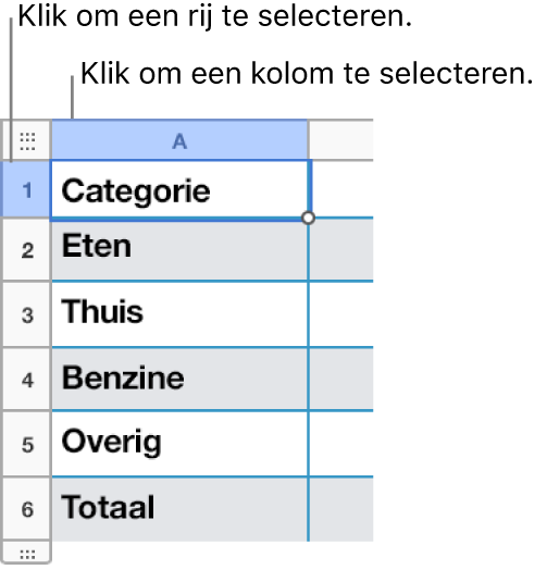 Een geselecteerde tabelrij met bijschriften voor de rij- en kolomselecties.