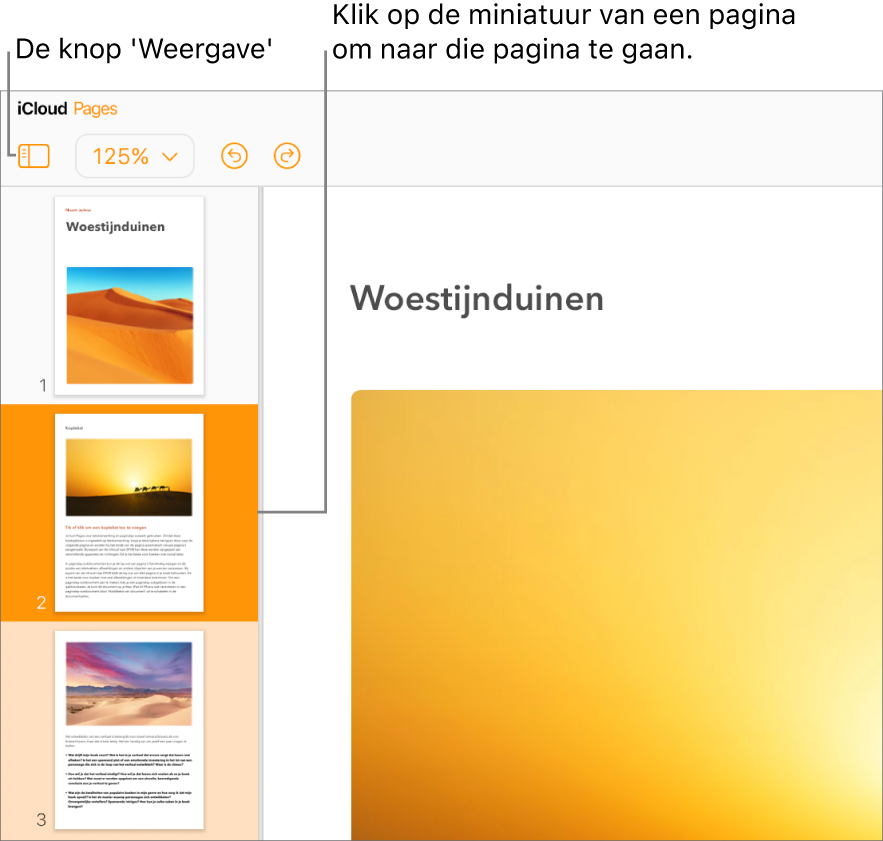 De paginaminiatuurweergave aan de linkerkant van het scherm waarin een pagina is geselecteerd. De weergaveknop staat in de knoppenbalk boven de miniaturen.