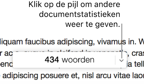 Het aantal woorden in het pop‑upmenu met documentstatistieken.