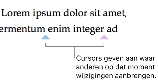 De aanwijzers geven in verschillende kleuren aan waar andere personen wijzigingen aanbrengen in een gedeeld document.