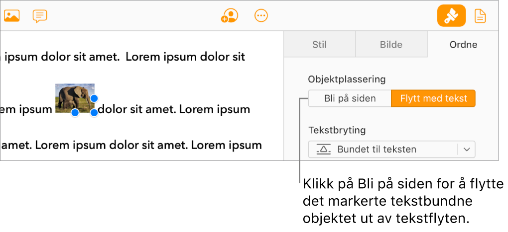 Et tekstbundet bilde i brødteksten er markert, og Bli på siden-knappen vises på Ordne-fanen i sidepanelet.