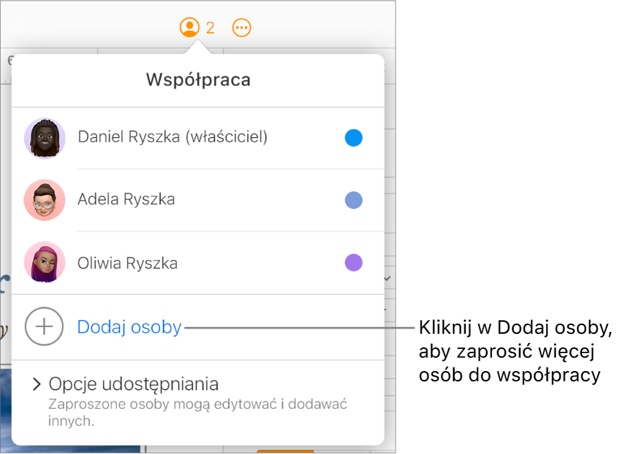 Zostanie otwarte menu Współpraca z opcją Dodaj osoby pod listą uczestników.