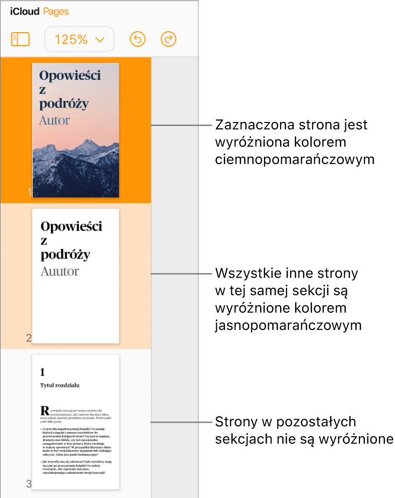 Miniaturki stron na lewym pasku bocznym z zaznaczoną stroną w kolorze ciemnopomarańczowym i jedną inną stroną w tej samej sekcji w kolorze jasnopomarańczowym. Za stroną w innej sekcji nie ma wyróżnienia.