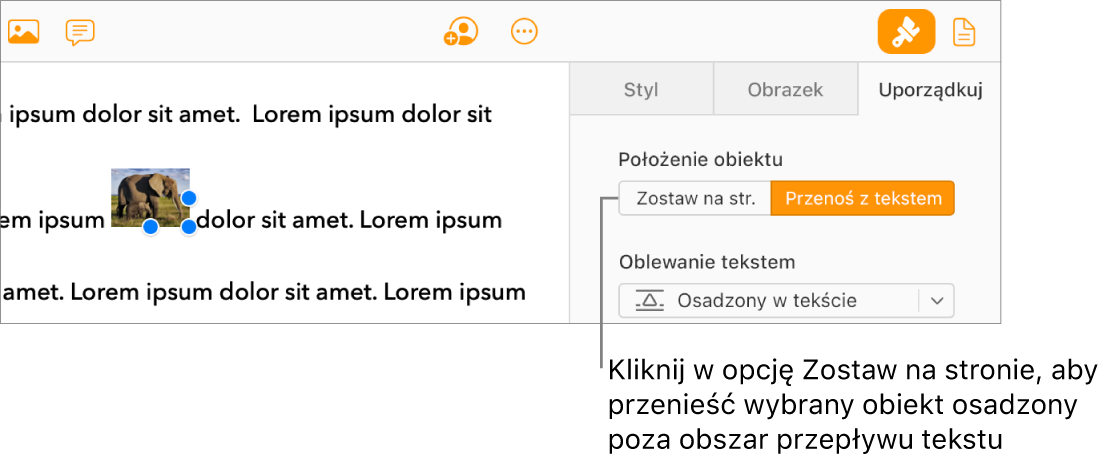 Zaznaczony jest obrazek osadzony w dokumencie, a przycisk Zostaw na str. jest widoczny na karcie Uporządkuj na pasku bocznym.