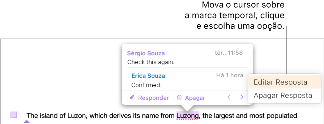 Um comentário com uma resposta e o cursor sobre a marcação de data e hora da resposta; um menu pop-up mostrando duas opções: Editar Resposta e Apagar Resposta.