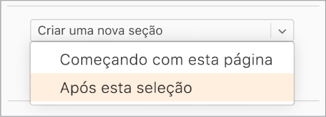 O menu pop-up "Criar uma nova seção" é aberto e "Após esta seção" é selecionado.