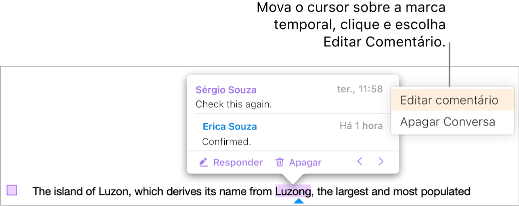 Um comentário será aberto, o ponteiro estará sobre o carimbo de data/hora na parte superior e o menu pop-up mostrará duas opções: Editar comentário e Apagar conversa.