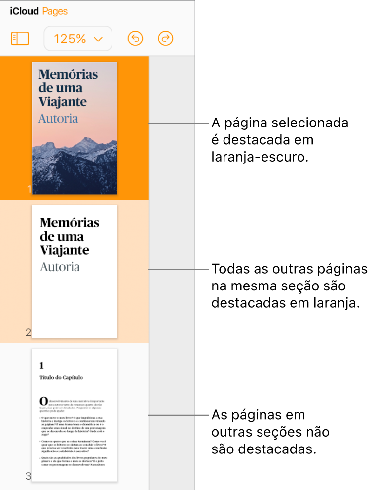 Miniaturas de página na barra lateral esquerda com a página selecionada destacada em laranja escuro e uma outra página na mesma seção destacada em laranja claro. Uma página em uma seção diferente não tem nenhum destaque atrás dela.