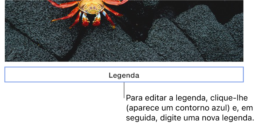 O marcador de posição de legenda, “Legenda”, é apresentado por baixo da fotografia; um contorno azul em redor do campo de legenda mostra que está selecionado.