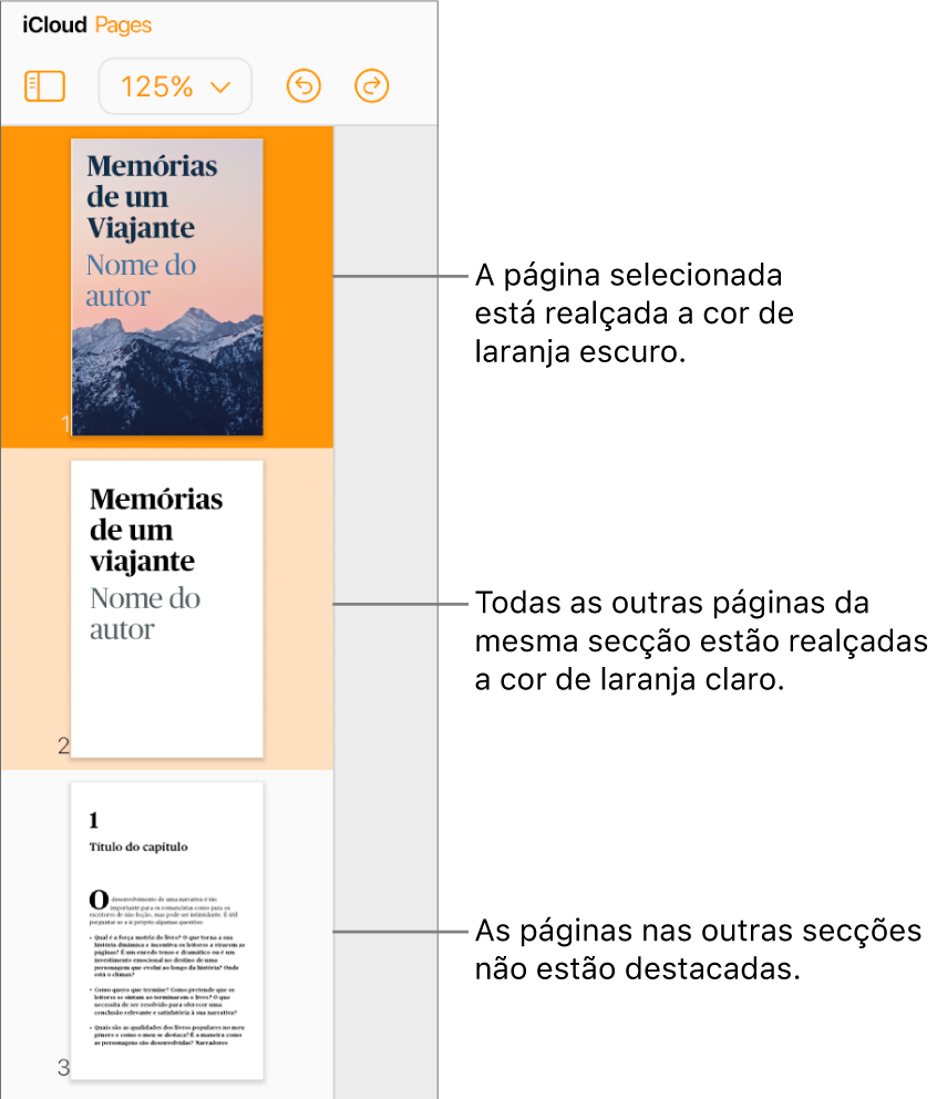 As miniaturas das páginas na barra lateral esquerda com a página selecionada destacada a laranja escuro e uma outra página na mesma secção destacada a laranja claro. A página de uma secção diferente não tem nenhum destaque por trás da mesma.