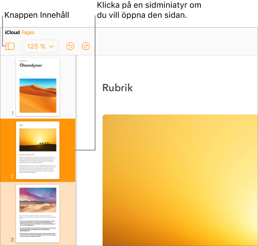 Vyn Sidminiatyrer till vänster på skärmen med en sida markerad. Knappen Innehåll finns i verktygsfältet ovanför miniatyrbilderna.