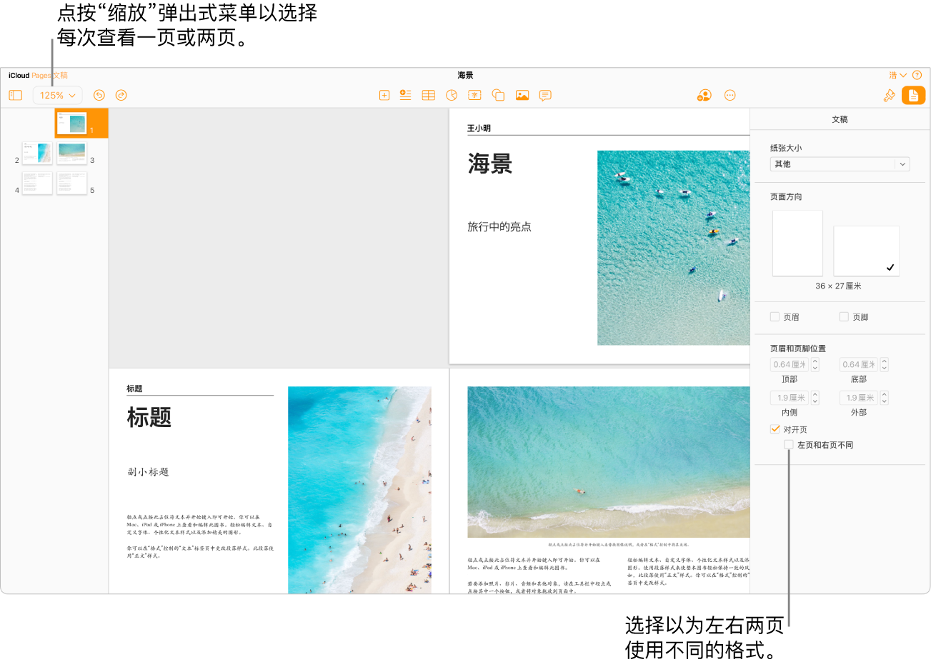 iCloud 版 Pages 文稿窗口，其中显示了页面缩略图和视为跨页的文稿页面。在右侧的“文稿”边栏中，“左页和右页不同”复选框处于未选中状态。